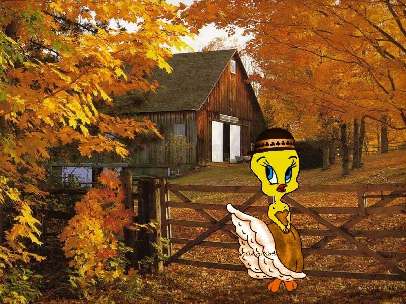fond-ecran-tweety-automne.jpg