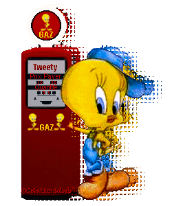 titi-bird-gaz.gif